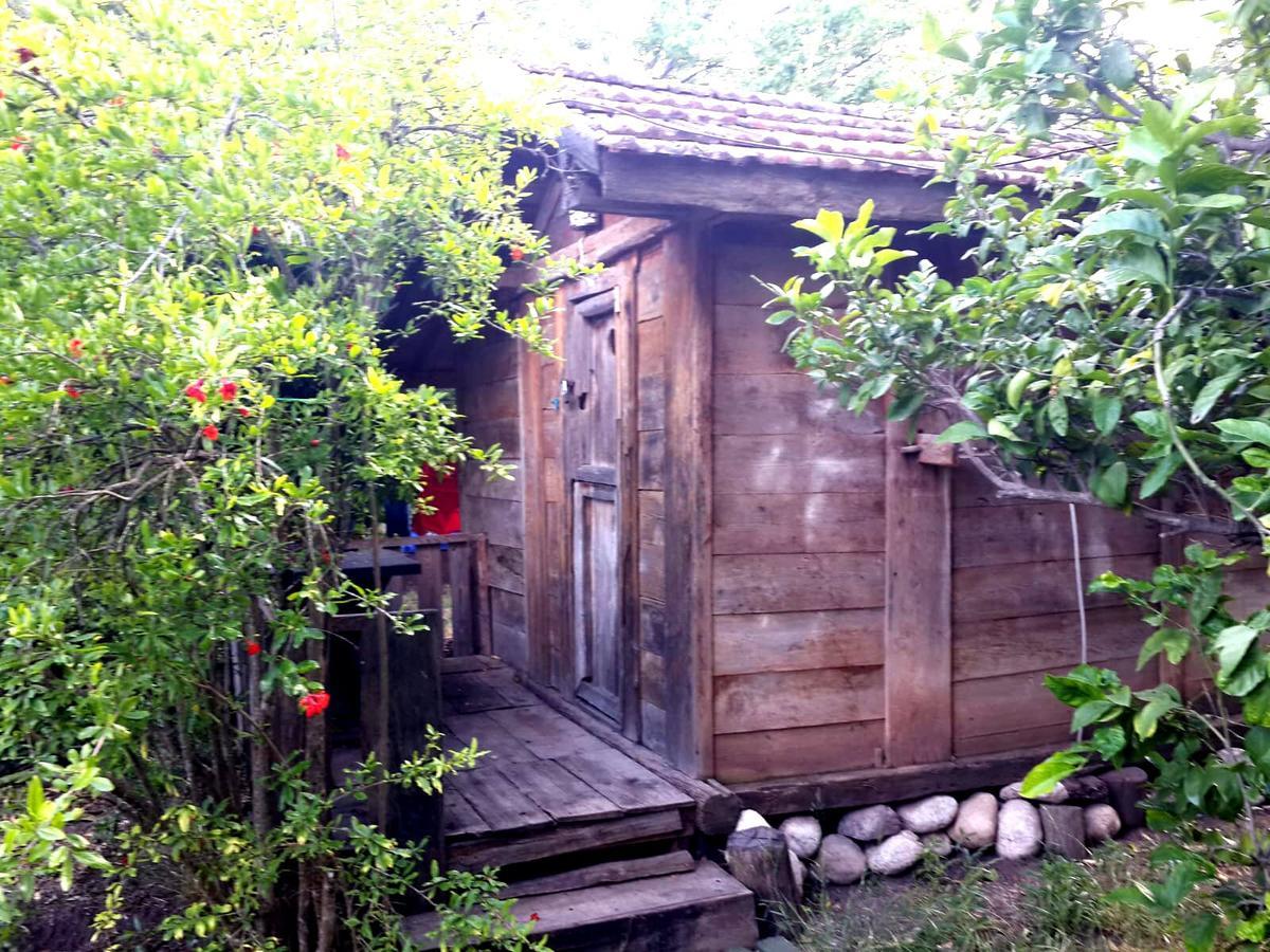 Hane-I Keyif Pension Cirali Exterior photo