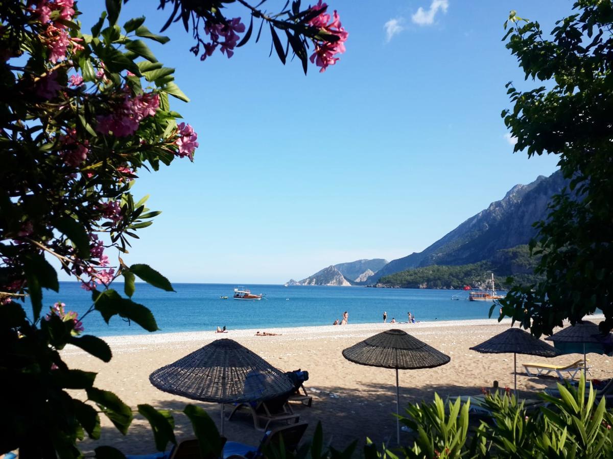 Hane-I Keyif Pension Cirali Exterior photo